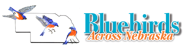 Bluebirds Across Nebraska